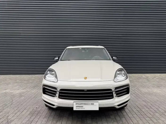 Cayenne 2022 Model Cayenne 3.0T Platinum edition – фото 2