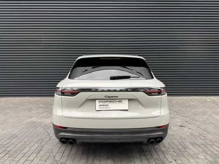 Cayenne 2022 Model Cayenne 3.0T Platinum edition – фото 4