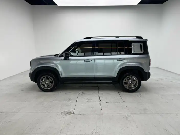 Yueye Plus 2026 Model 501km Ultimate Edition