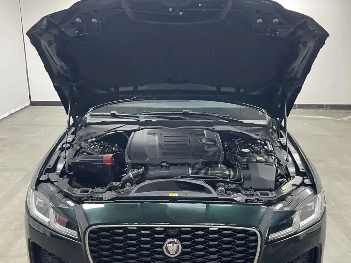 Jaguar XFL 2022 Model 2.0T P250 2WD Elite Sports Edition – фото 10