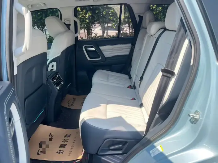 Beijing Off-Road BJ60 2022 Model 2.0T Automatic Eleventh Edition VII seat – фото 8