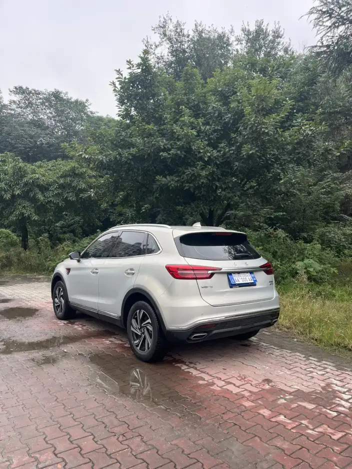 Hongqi HS5 2022 Model 2.0T Smart Flag Enjoy Edition – фото 4