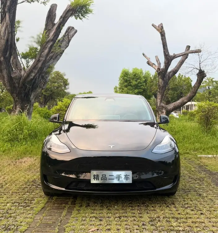 Model Y 2022 Model Facelift Rear-wheel drive version – фото 2