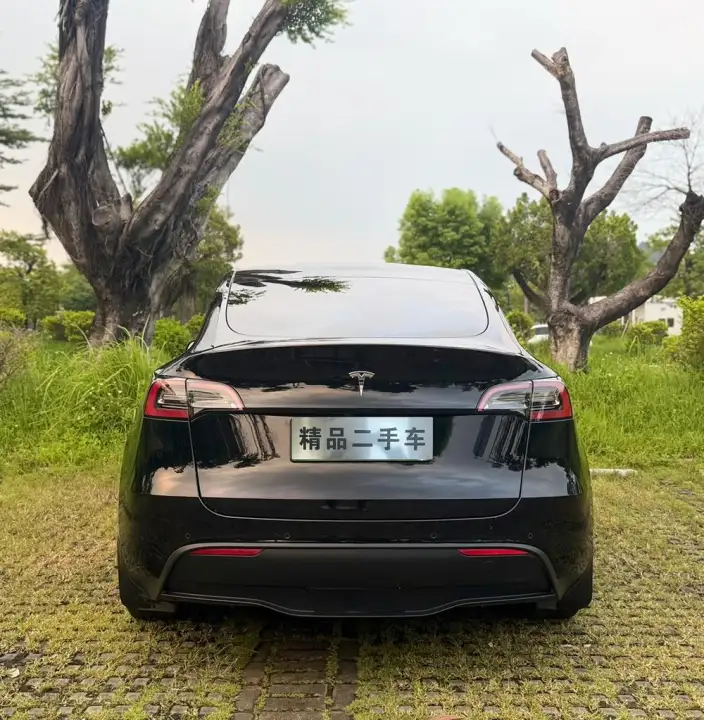 Model Y 2022 Model Facelift Rear-wheel drive version – фото 5