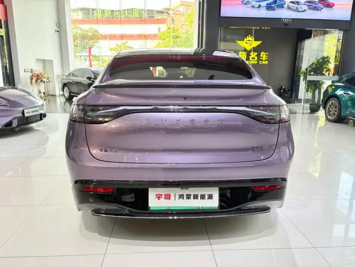 Luxeed R7 2024 Model EV 100kWh Max Rear Drive Edition – фото 5