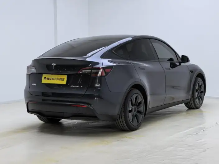 Model Y 2024 Model Rear-wheel drive version – фото 7