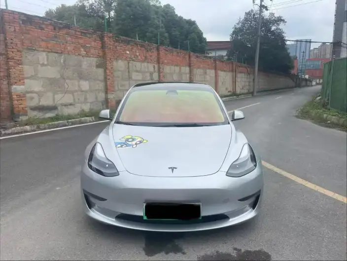 Model 3 2022 Model Performance High performance All-wheel drive version – фото 2