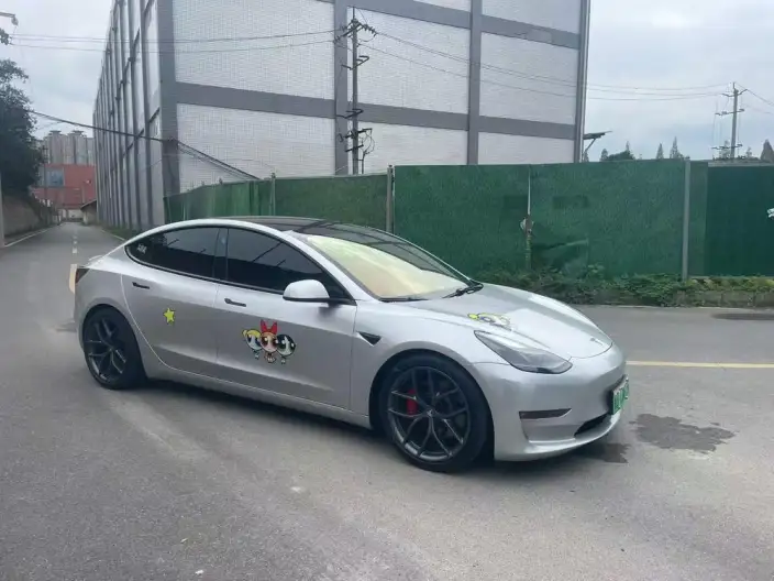 Model 3 2022 Model Performance High performance All-wheel drive version – фото 3