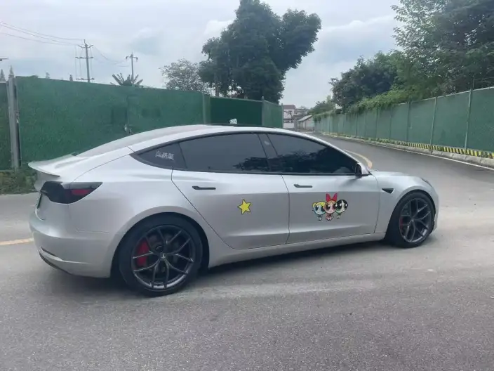 Model 3 2022 Model Performance High performance All-wheel drive version – фото 5
