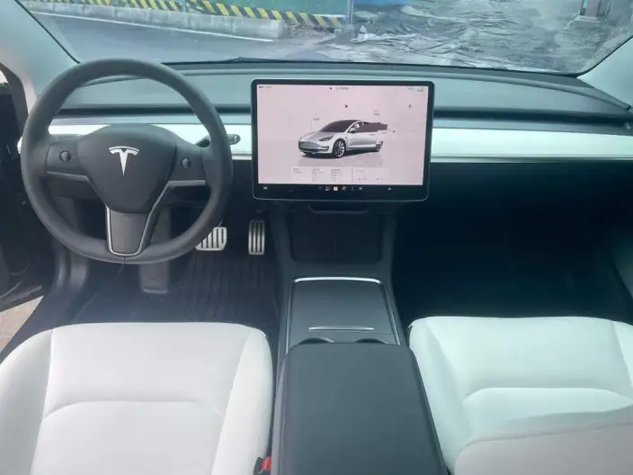Model 3 2022 Model Performance High performance All-wheel drive version – фото 7