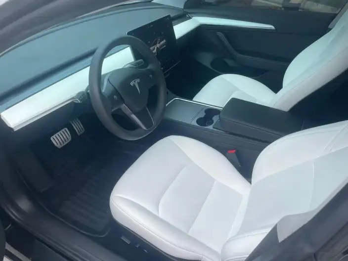 Model 3 2022 Model Performance High performance All-wheel drive version – фото 8