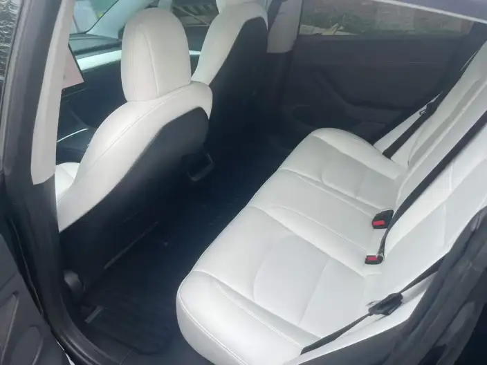 Model 3 2022 Model Performance High performance All-wheel drive version – фото 9