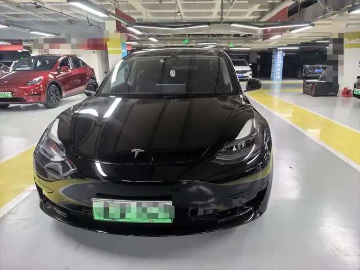 Model 3 2022 Model Rear-wheel drive version – фото 2