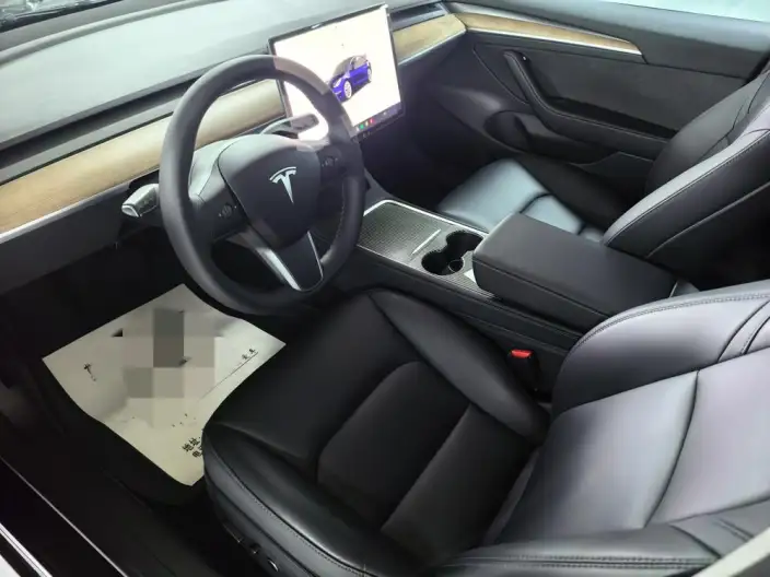 Model 3 2022 Model Rear-wheel drive version – фото 7