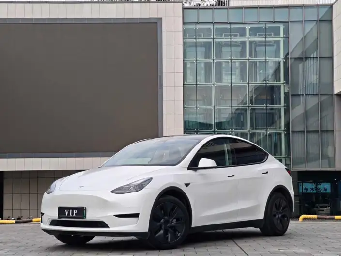 Model Y 2023 Model Rear-wheel drive version – фото 1