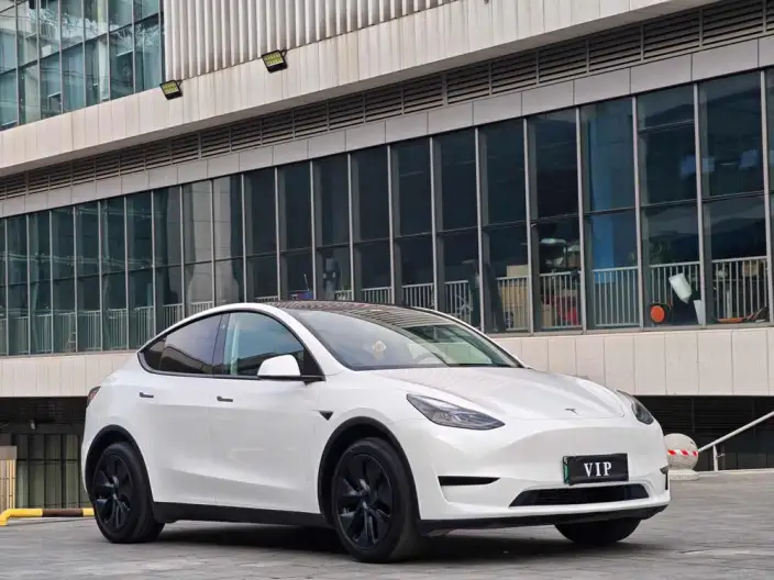 Model Y 2023 Model Rear-wheel drive version – фото 3