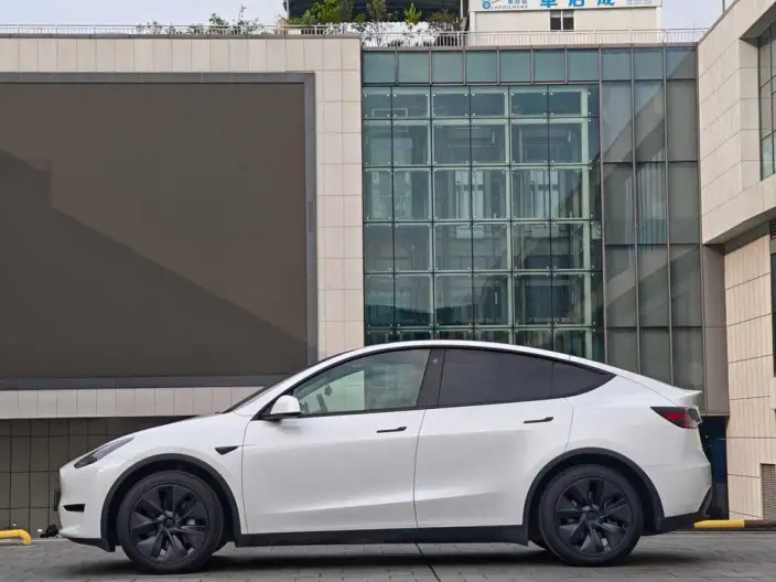 Model Y 2023 Model Rear-wheel drive version – фото 4