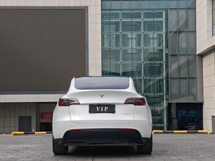 Model Y 2023 Model Rear-wheel drive version – фото 6