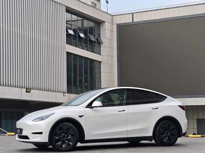 Model Y 2023 Model Rear-wheel drive version – фото 8