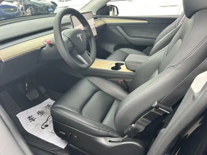 Model Y 2022 Model Facelift Rear-wheel drive version – фото 10