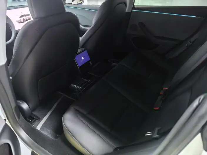 Model 3 2025 Model Rear-wheel drive version – фото 9