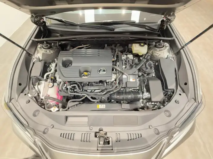 Lexus ES 2022 Model 300h Superior Edition – фото 8