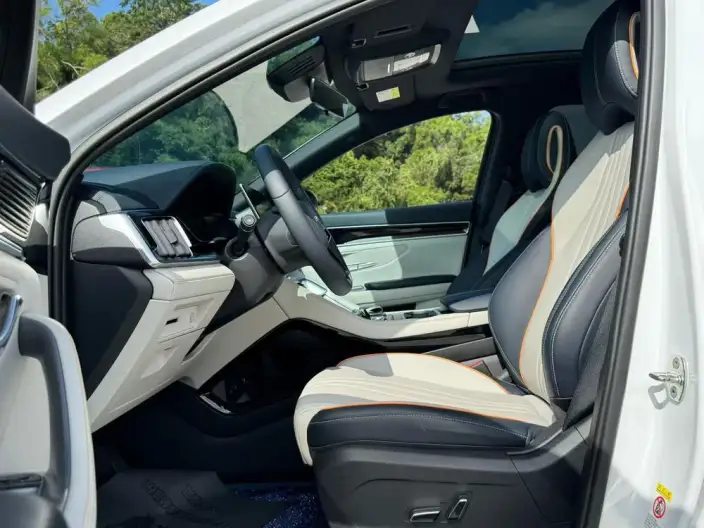 BYD Song PLUS EV 2025 Model 520KM Luxury Model – фото 6
