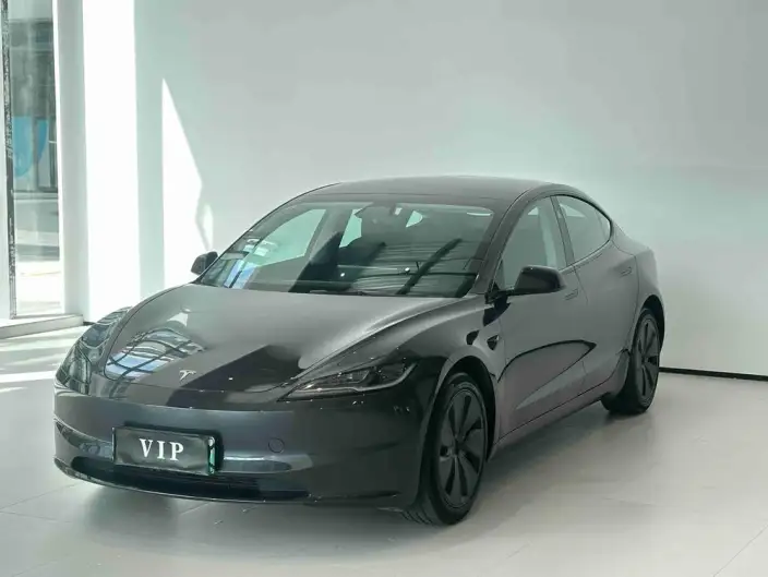 Model 3 2023 Model Long Battery Life Pro All-wheel drive version – фото 1