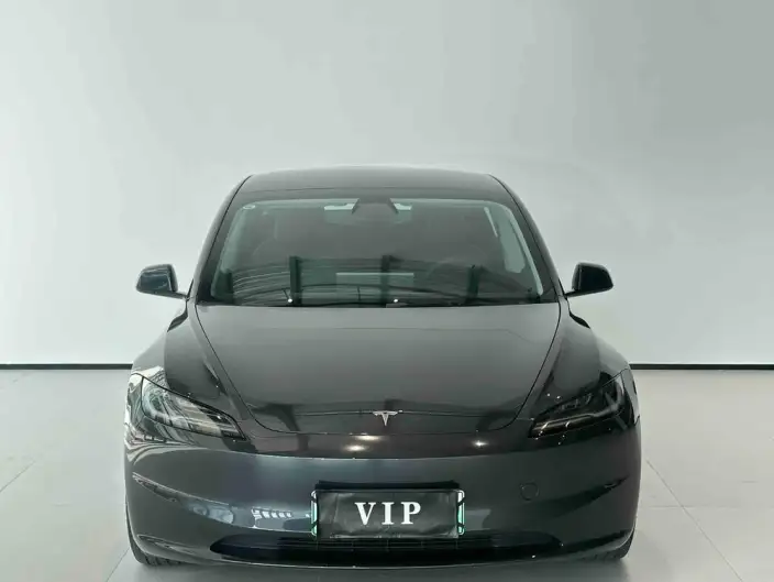 Model 3 2023 Model Long Battery Life Pro All-wheel drive version – фото 2
