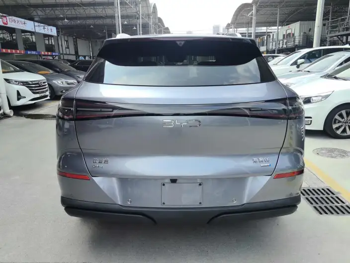 Sea Lion 06DM 2025 Model DM-i 205KM Pilot Pro Edition – фото 6