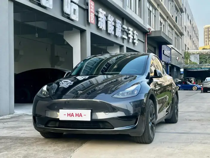 Model Y 2024 Model Rear-wheel drive version – фото 1