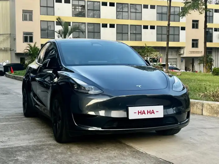 Model Y 2024 Model Rear-wheel drive version – фото 3