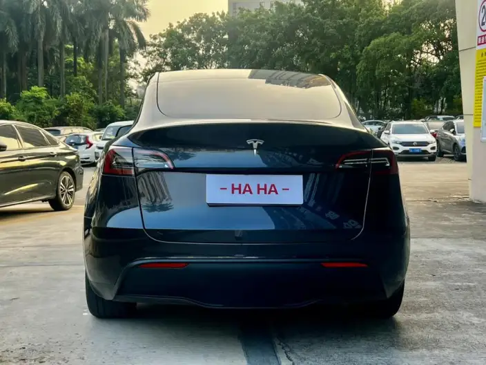 Model Y 2024 Model Rear-wheel drive version – фото 5