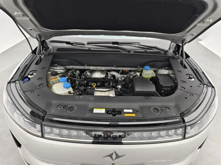eπ 008 2024 Model 210Max Extended Range Edition 6 seat – фото 10