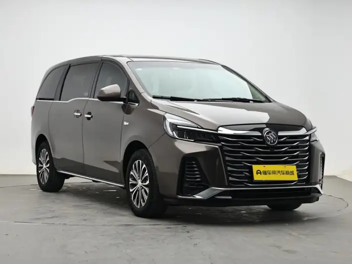 Buick GL8 2023 Model Business class 2.0T Luxury Model – фото 3
