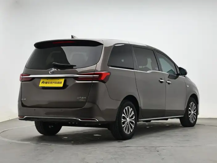 Buick GL8 2023 Model Business class 2.0T Luxury Model – фото 7