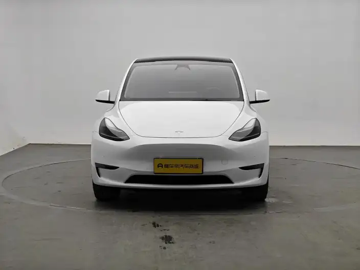 Model Y 2023 Model Long Battery Life Pro All-wheel drive version – фото 2