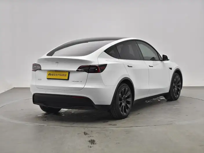 Model Y 2023 Model Long Battery Life Pro All-wheel drive version – фото 7