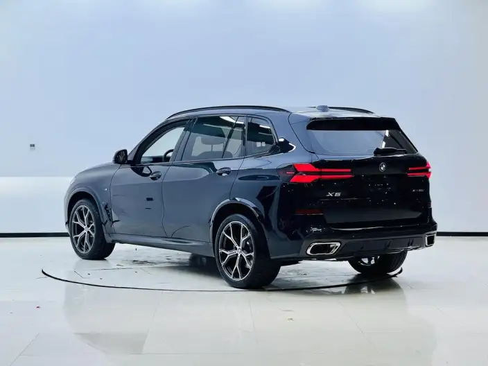 BMW X5 2023 Model xDrive30Li Exclusive Model M Sports Night Set – фото 4