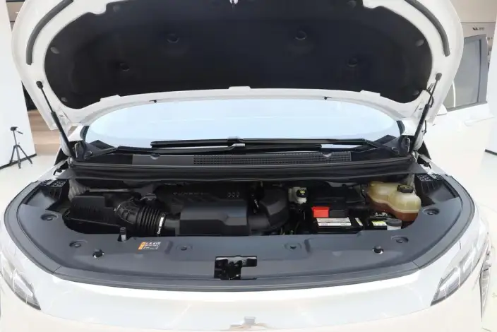 Century 2025 Model 2.0T VII seat Yunshi Edition – фото 8