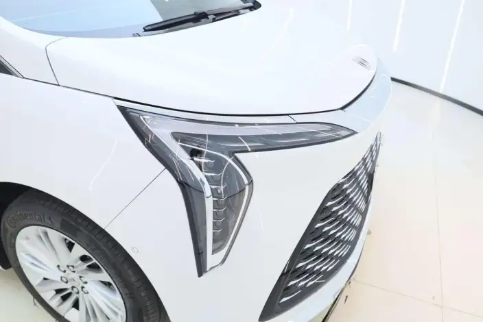 Century 2025 Model 2.0T VII seat Yunshi Edition – фото 9