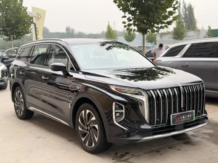 Hongqi HS7 PHEV 2024 Model 2.0T 4WD Flag Enjoy Edition 6 seat – фото 3