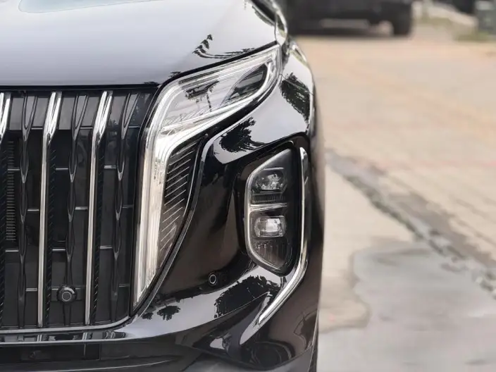 Hongqi HS7 PHEV 2024 Model 2.0T 4WD Flag Enjoy Edition 6 seat – фото 6