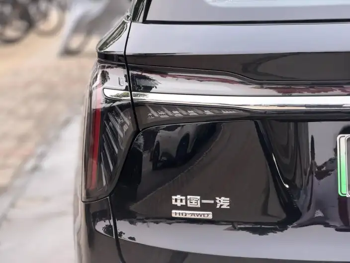 Hongqi HS7 PHEV 2024 Model 2.0T 4WD Flag Enjoy Edition 6 seat – фото 7