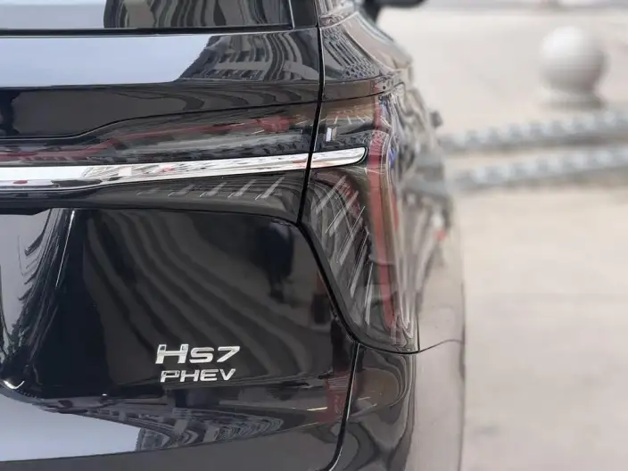Hongqi HS7 PHEV 2024 Model 2.0T 4WD Flag Enjoy Edition 6 seat – фото 9