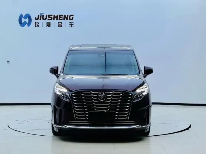 Buick GL8 2023 Model ES Luzun 2.0T Flagship Model – фото 2