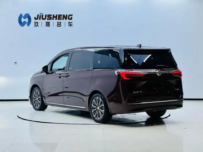 Buick GL8 2023 Model ES Luzun 2.0T Flagship Model – фото 4