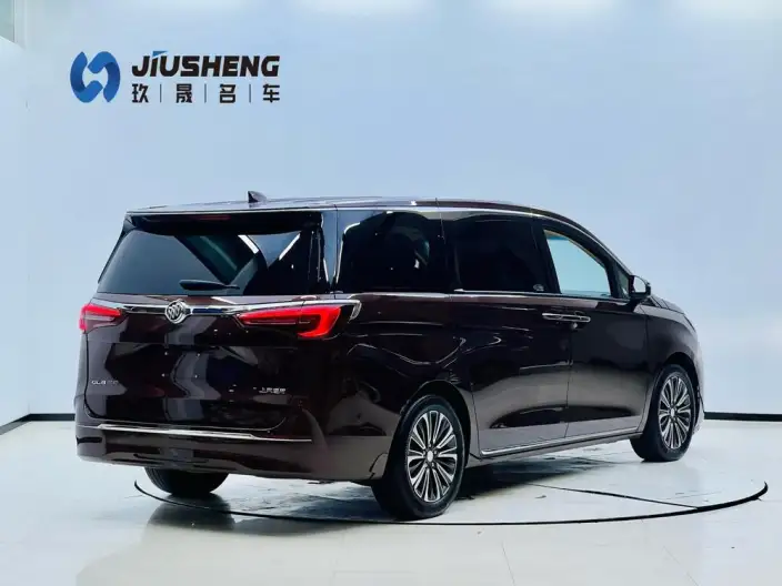 Buick GL8 2023 Model ES Luzun 2.0T Flagship Model – фото 6