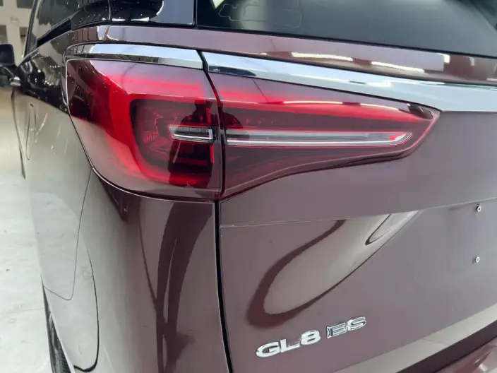 Buick GL8 2023 Model ES Luzun 2.0T Flagship Model – фото 9