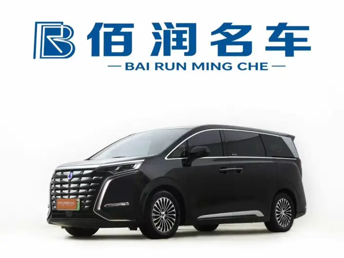 DENZA D9 DM 2024 Model 980 4WD Zunrong Model – фото 1
